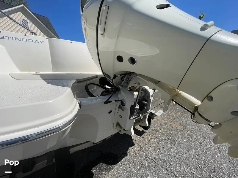 Slide: The Image of Stingray 192SC 2019 - 16341146