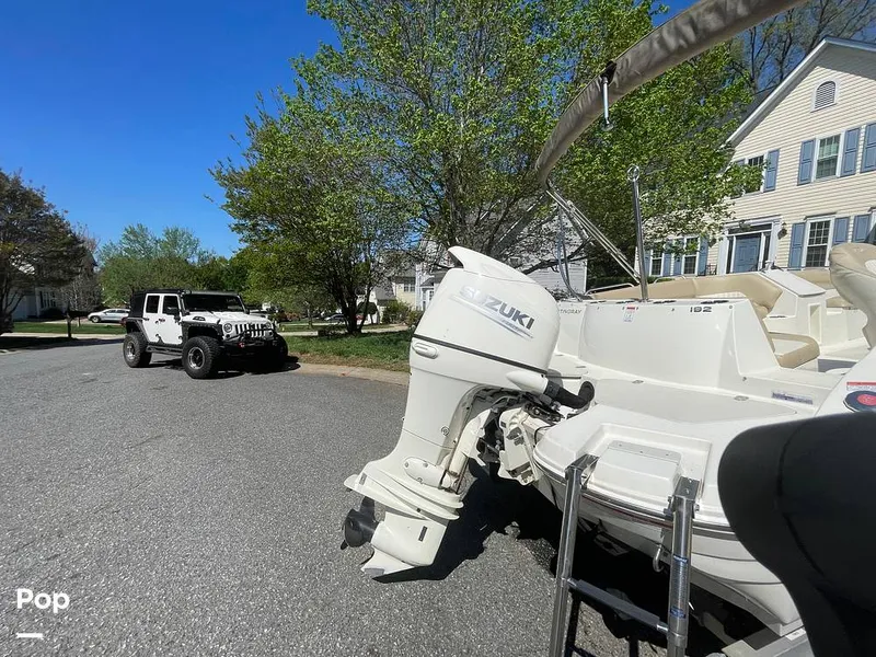 Slide: The Image of Stingray 192SC 2019 - 16341165