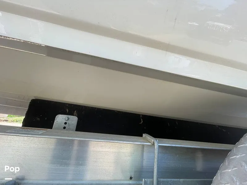 Slide: The Image of Stingray 192SC 2019 - 16341141