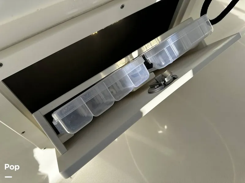 Slide: The Image of Robalo R272 2021 - 16082081