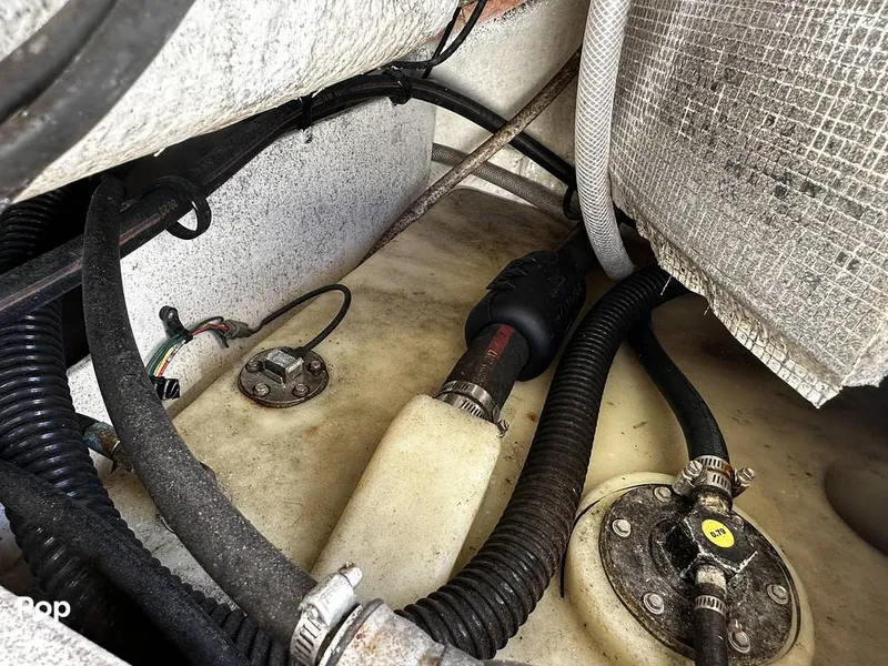 Slide: The Image of Robalo R272 2021 - 16082074