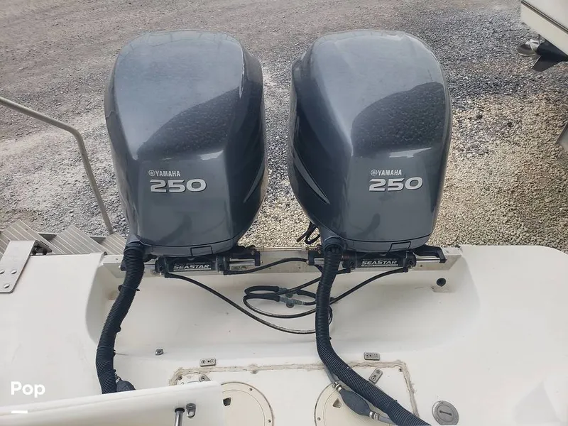 Slide: The Image of Mako 293 1999 - 16090287