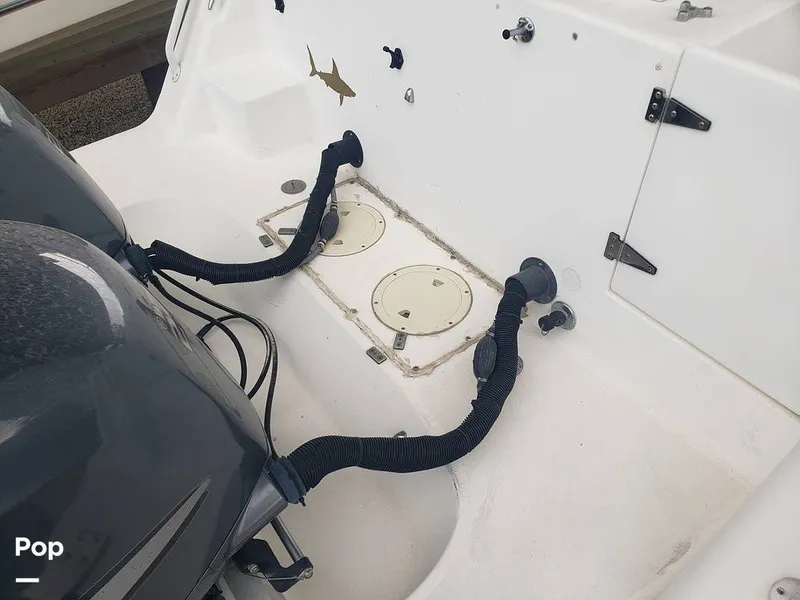 Slide: The Image of Mako 293 1999 - 16090281