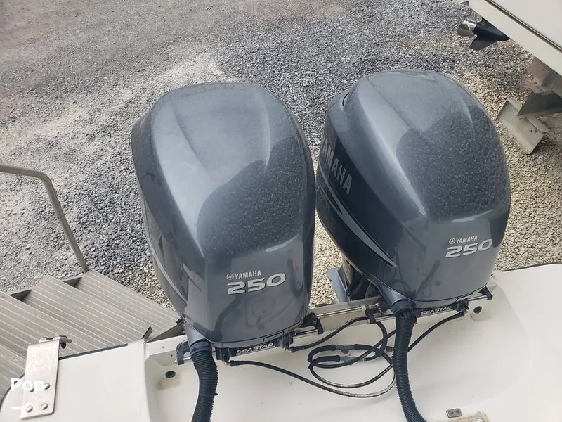 Slide: The Image of Mako 293 1999 - 16090351