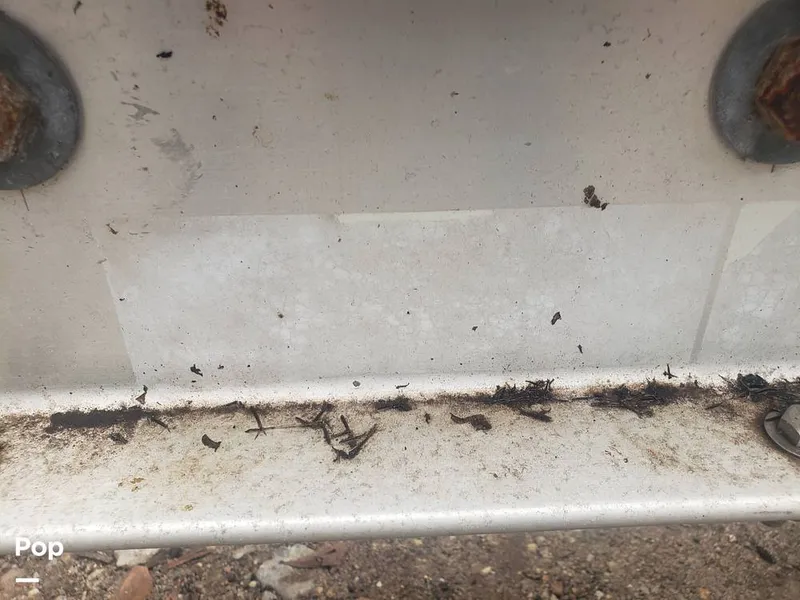 Slide: The Image of Mako 293 1999 - 16091671