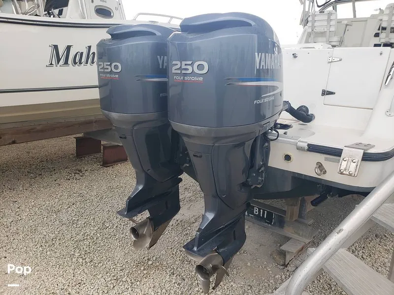 Slide: The Image of Mako 293 1999 - 16090268