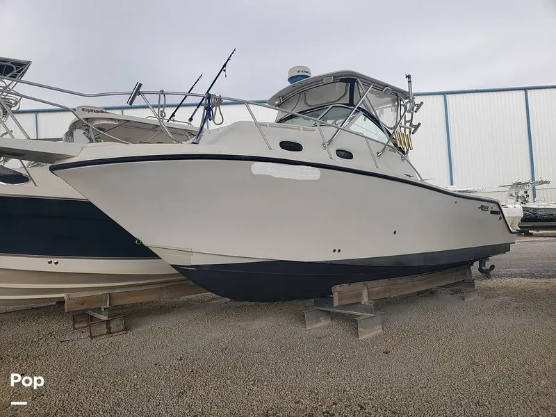 Slide: The Image of Mako 293 1999 - 16090271