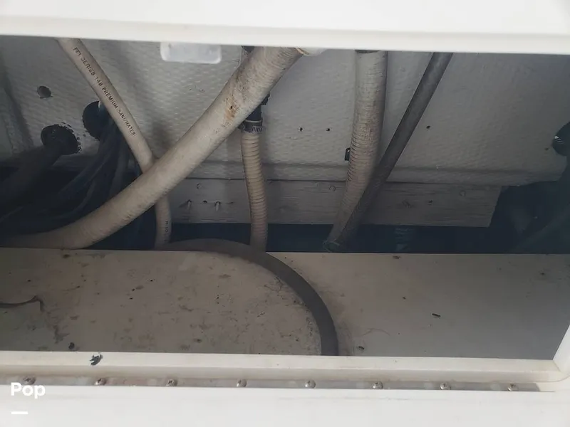 Slide: The Image of Mako 293 1999 - 16090313