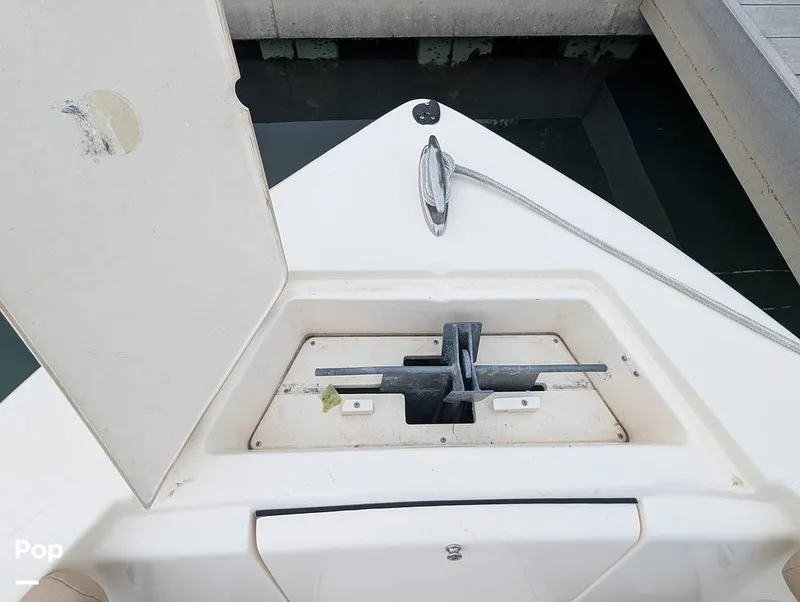 Slide: The Image of Scout 210 Dorado 2023 - 15840337