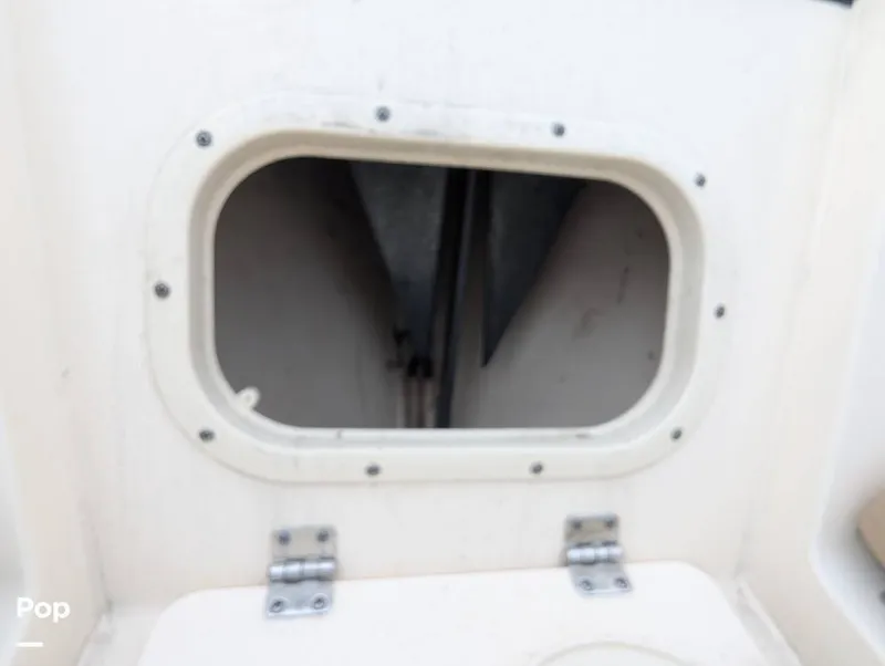 Slide: The Image of Scout 210 Dorado 2023 - 15840336