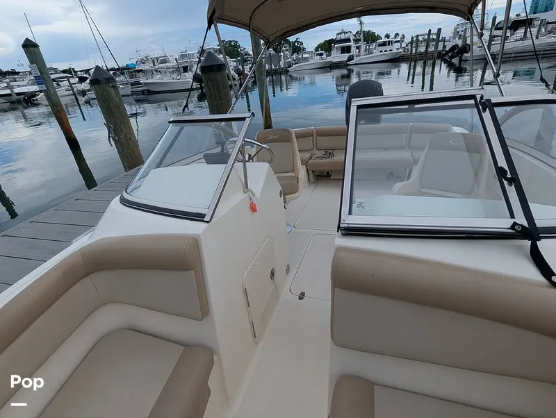 Slide: The Image of Scout 210 Dorado 2023 - 15840346