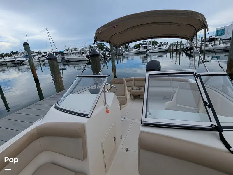Slide: The Image of Scout 210 Dorado 2023 - 15840347