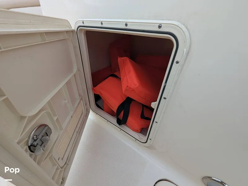 Slide: The Image of Scout 210 Dorado 2023 - 15840243
