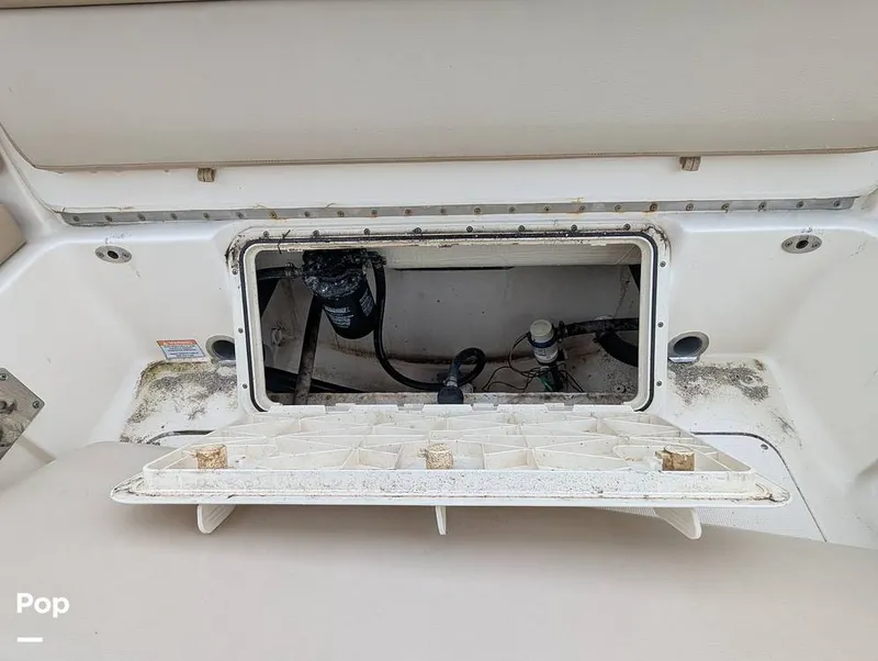 Slide: The Image of Scout 210 Dorado 2023 - 15840249