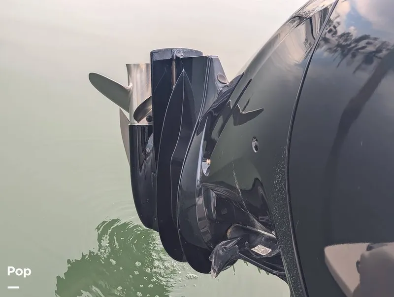 Slide: The Image of Scout 210 Dorado 2023 - 15840349
