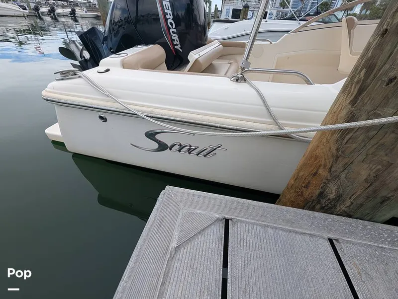 Slide: The Image of Scout 210 Dorado 2023 - 15840352