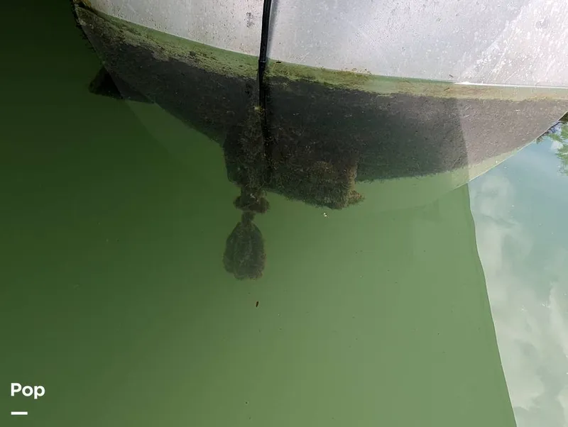 Slide: The Image of Harris 230CR 2024 - 15839952