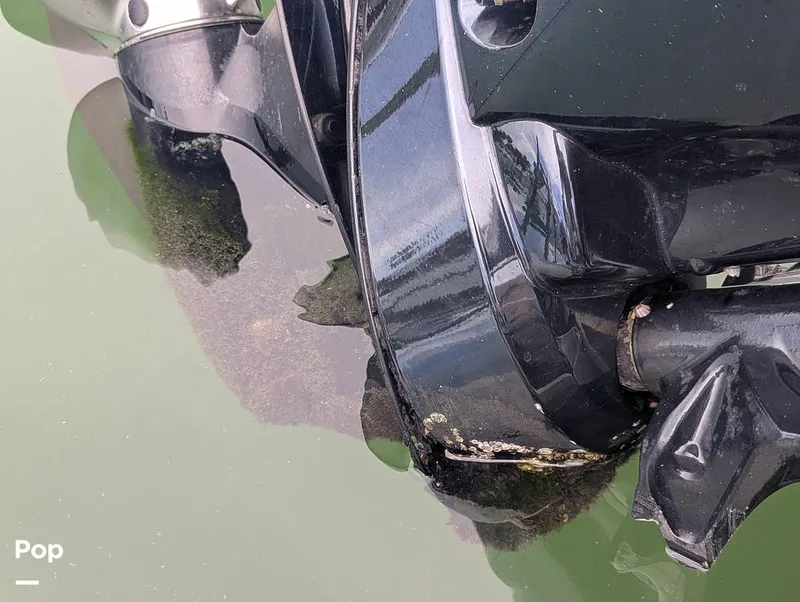 Slide: The Image of Harris 230CR 2024 - 15840009