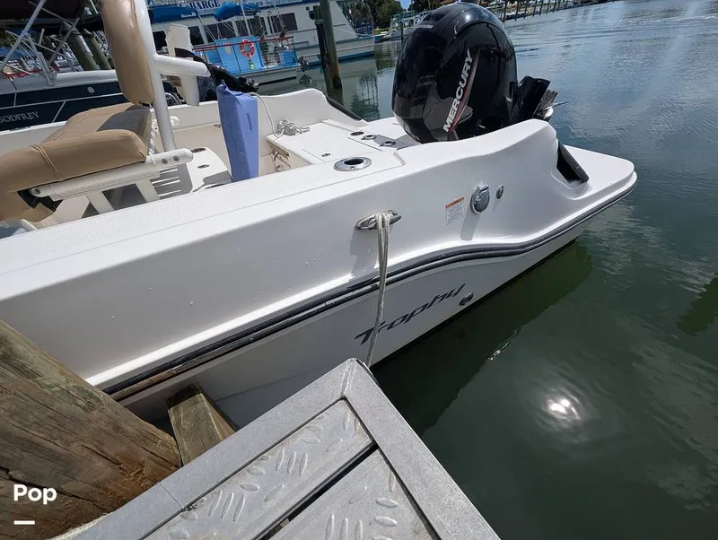 Slide: The Image of Trophy T22 CC 2024 - 15846235