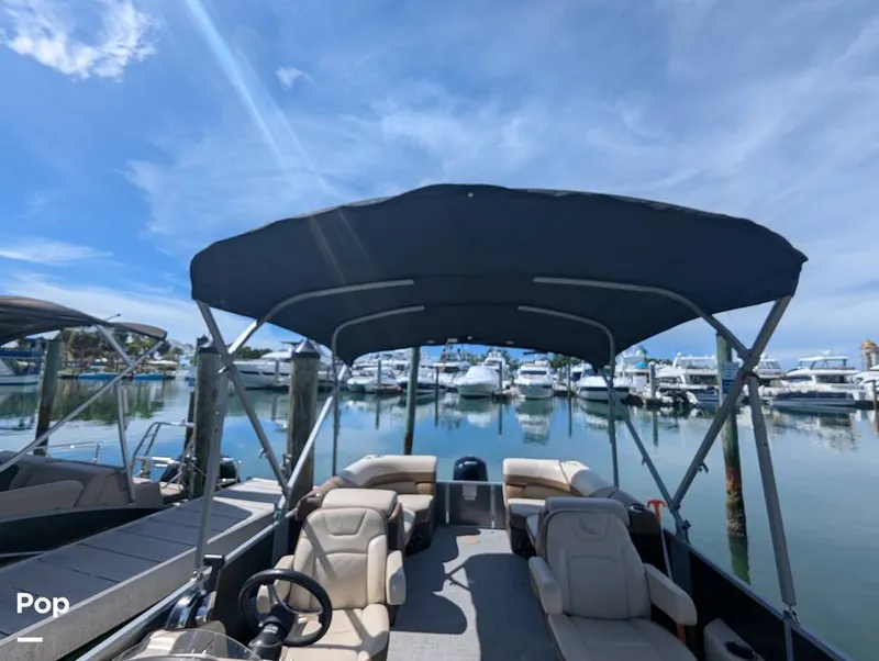 Slide: The Image of Lowe SS 230W 2024 - 15839850