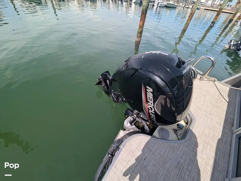 Slide: The Image of Lowe SS 230W 2024 - 15839831