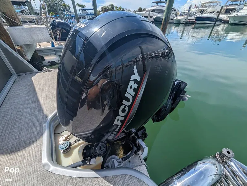 Slide: The Image of Lowe SS 230W 2024 - 15839846