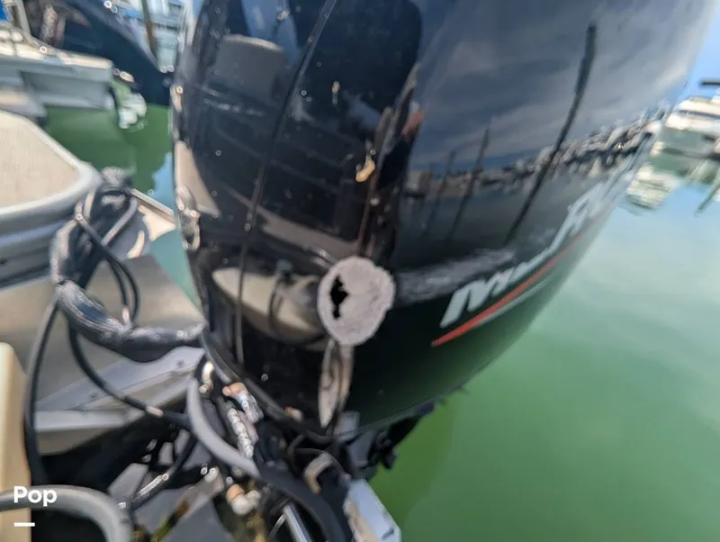 Slide: The Image of Lowe SS 230W 2024 - 15839849