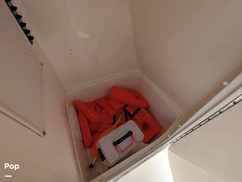 Slide: The Image of Cobia 220 CC 2023 - 15857544