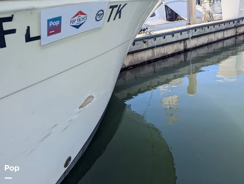 Slide: The Image of Cobia 220 CC 2023 - 15857551