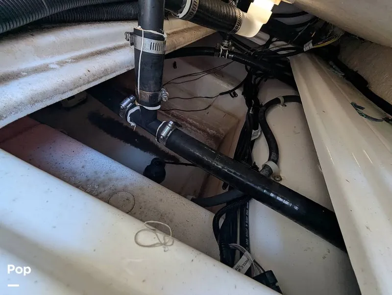 Slide: The Image of Trophy T22 CC 2024 - 15886225