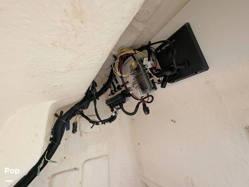 Slide: The Image of Trophy T22 CC 2024 - 15886242