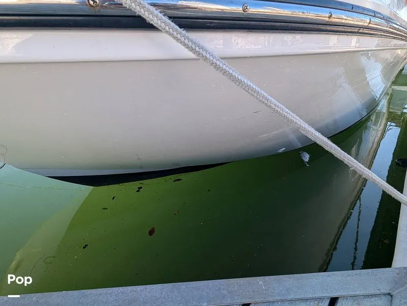 Slide: The Image of Trophy T22 CC 2024 - 15886250