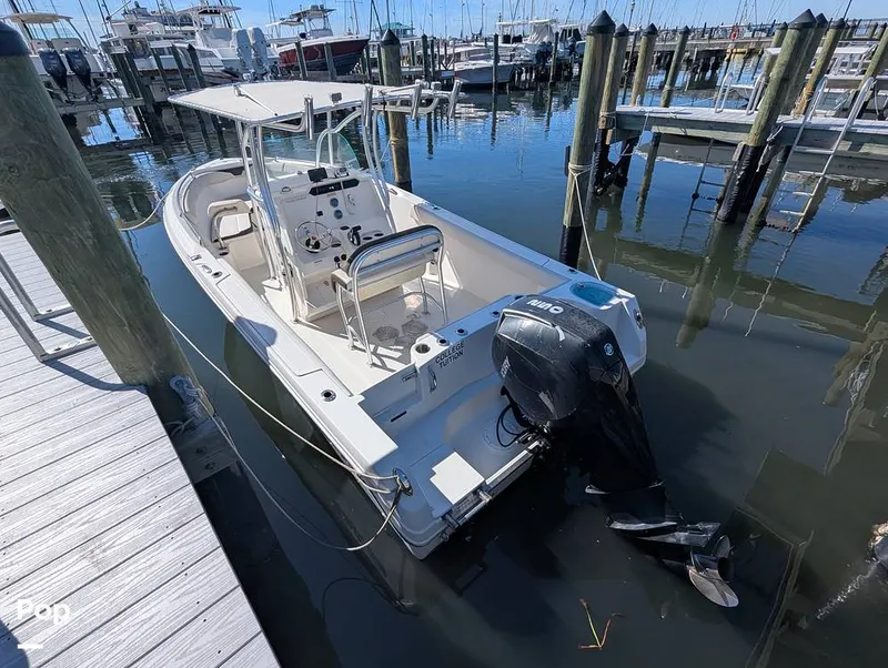 Slide: The Image of Sailfish 242 CC 2022 - 16202256