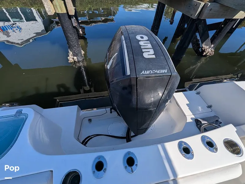Slide: The Image of Sailfish 242 CC 2022 - 16204286
