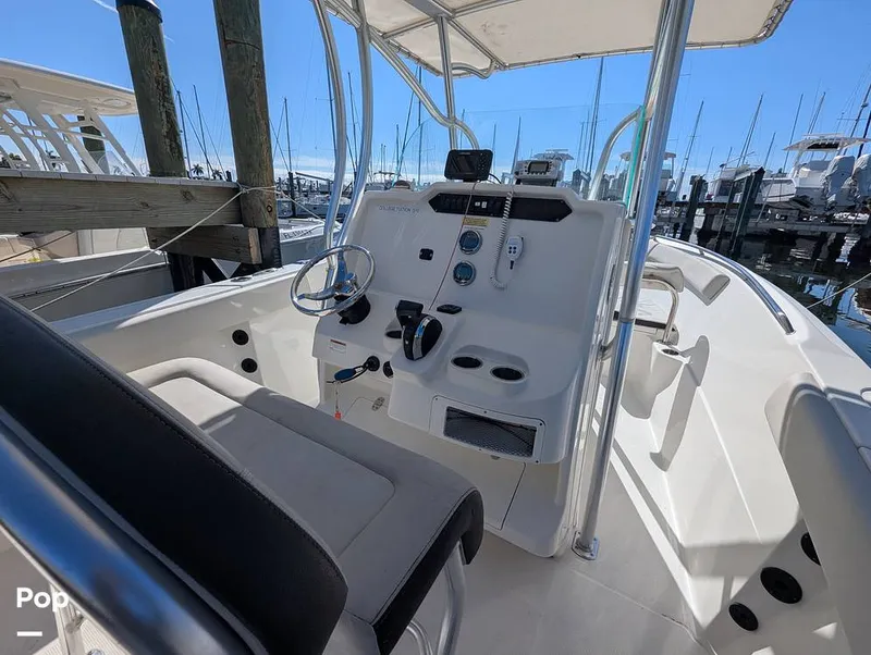 Slide: The Image of Sailfish 242 CC 2022 - 16204287