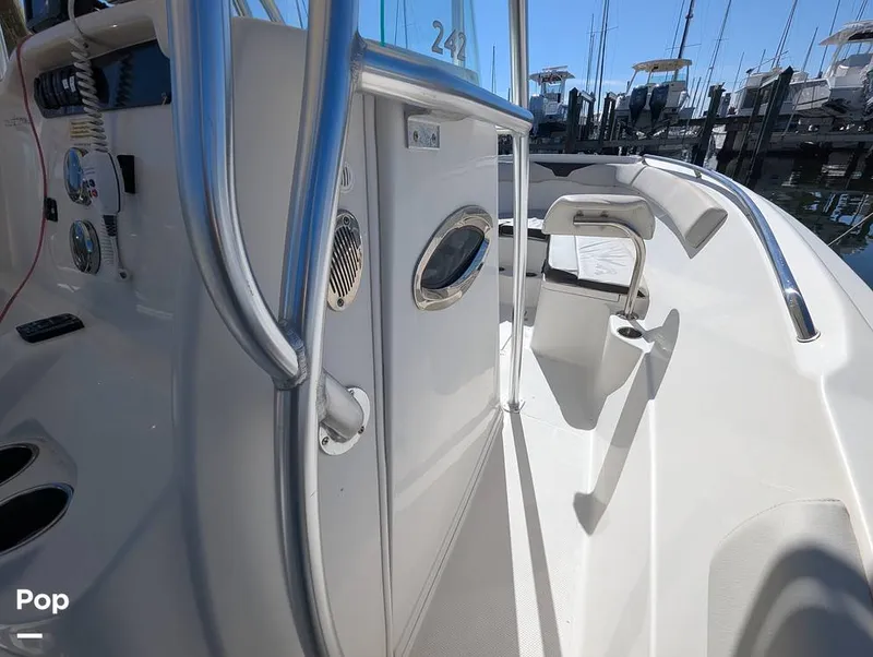 Slide: The Image of Sailfish 242 CC 2022 - 16204303