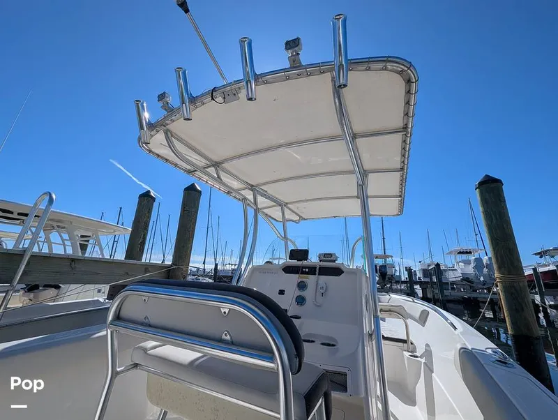 Slide: The Image of Sailfish 242 CC 2022 - 16202258