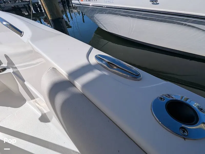 Slide: The Image of Sailfish 242 CC 2022 - 16204304