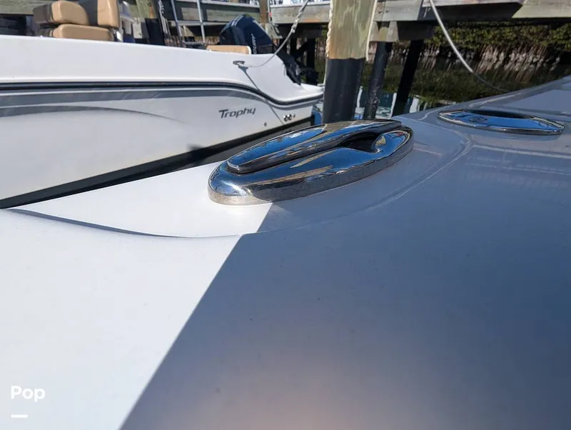 Slide: The Image of Sailfish 242 CC 2022 - 16204306