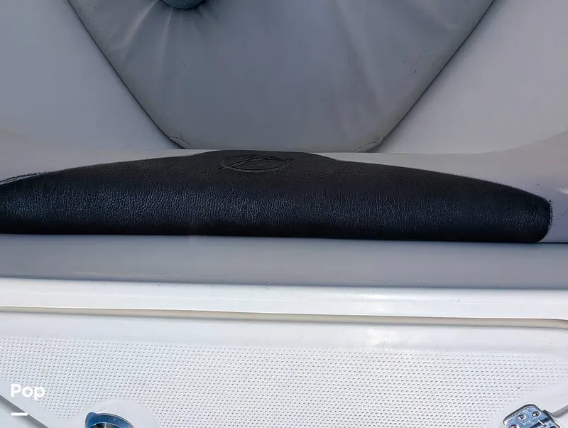 Slide: The Image of Sailfish 242 CC 2022 - 16204313