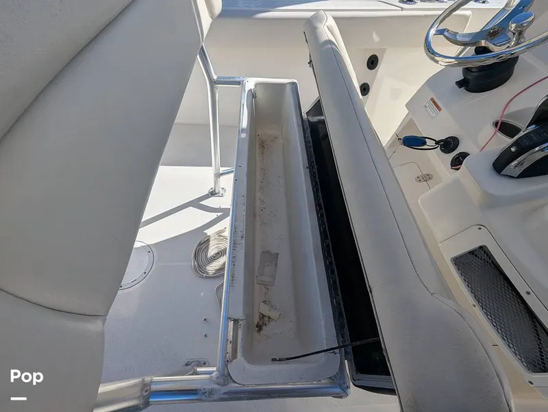 Slide: The Image of Sailfish 242 CC 2022 - 16204329