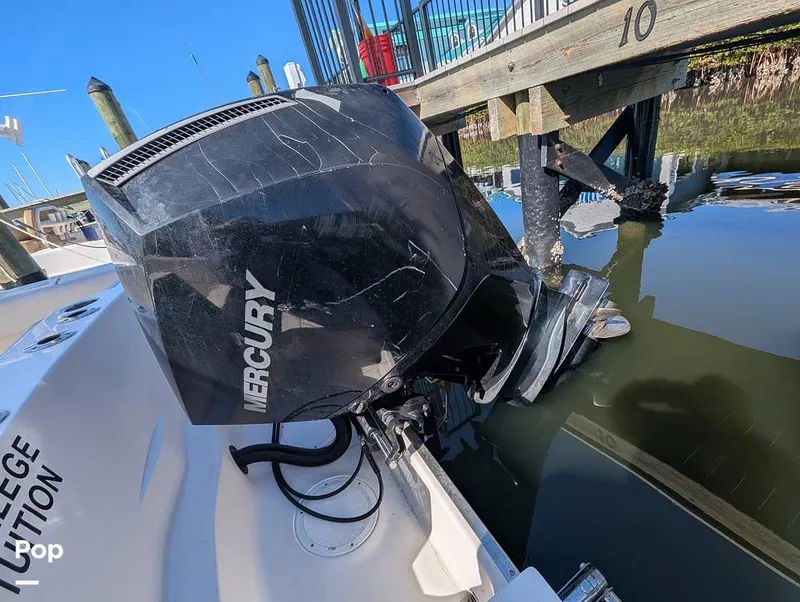 Slide: The Image of Sailfish 242 CC 2022 - 16204342
