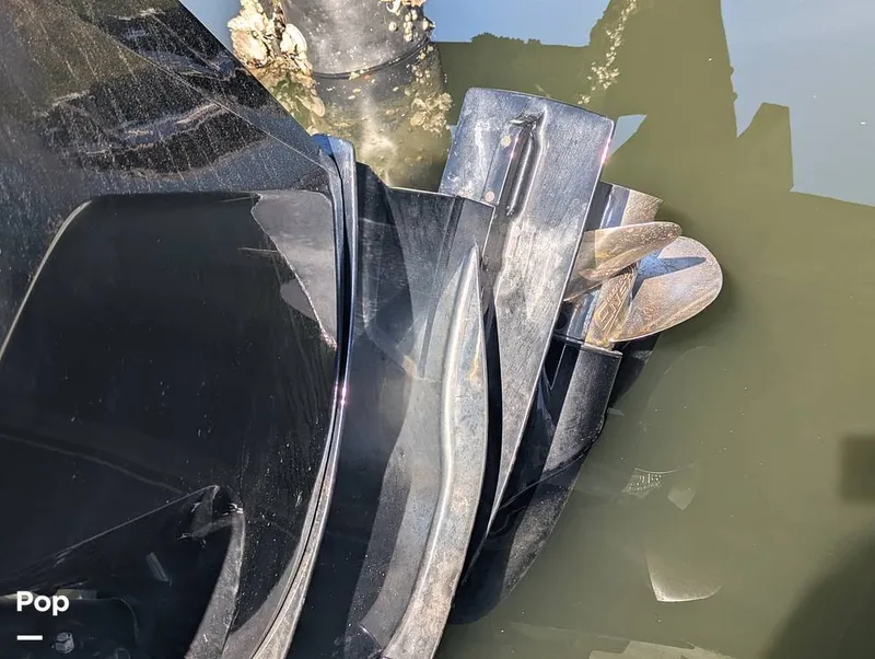 Slide: The Image of Sailfish 242 CC 2022 - 16204343