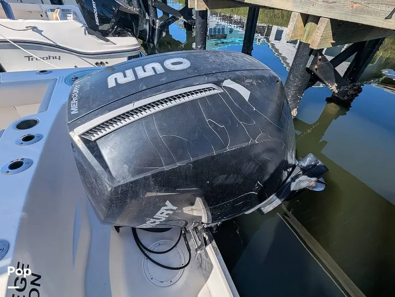 Slide: The Image of Sailfish 242 CC 2022 - 16204344