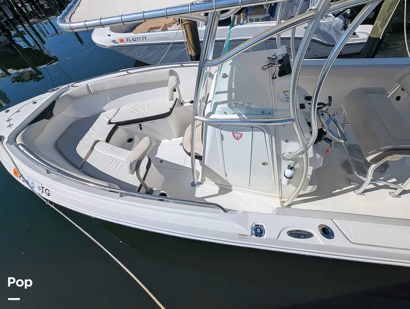 Slide: The Image of Sailfish 242 CC 2022 - 16204355