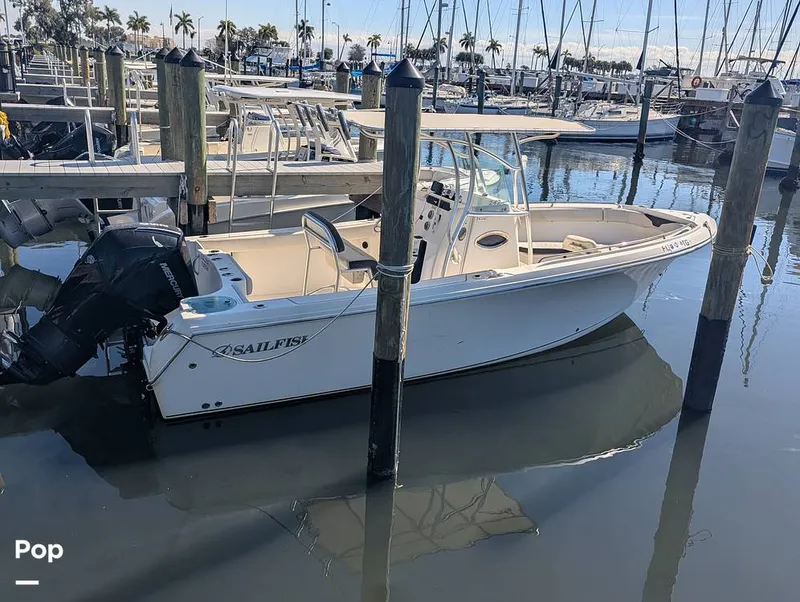 Slide: The Image of Sailfish 242 CC 2022 - 16204359