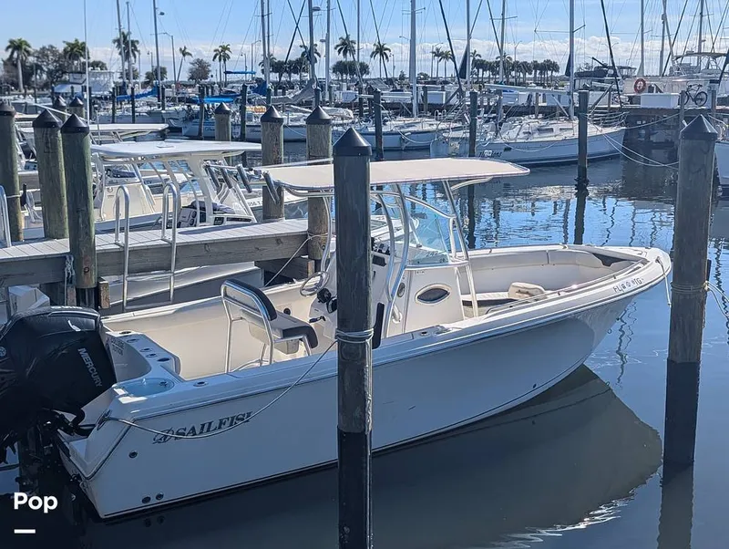 Slide: The Image of Sailfish 242 CC 2022 - 16204360