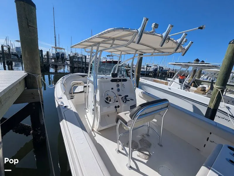 Slide: The Image of Sailfish 242 CC 2024 - 16202257