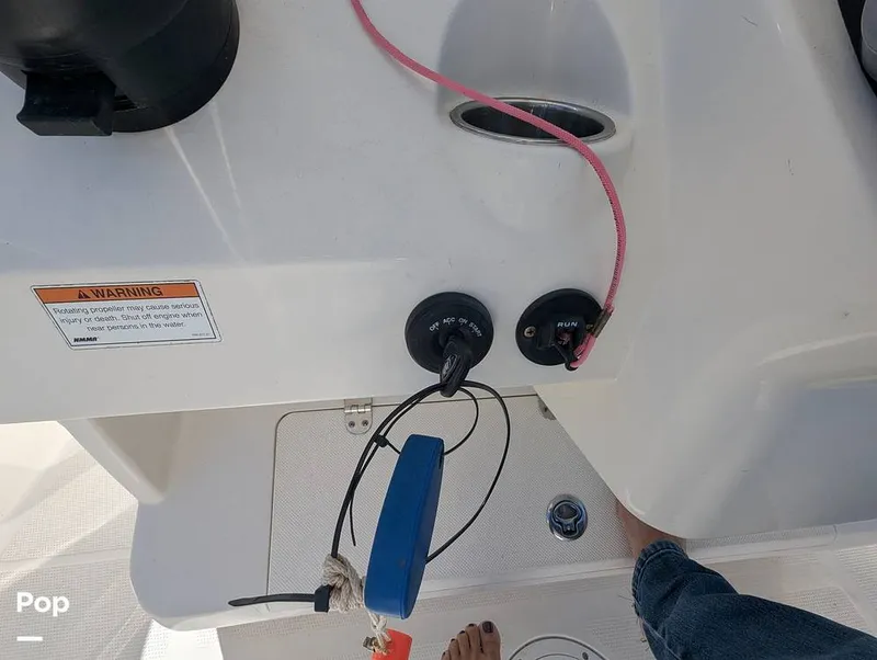 Slide: The Image of Sailfish 242 CC 2024 - 16204299