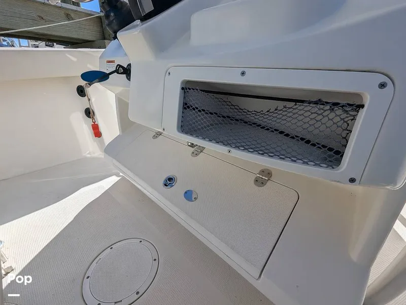 Slide: The Image of Sailfish 242 CC 2024 - 16204301